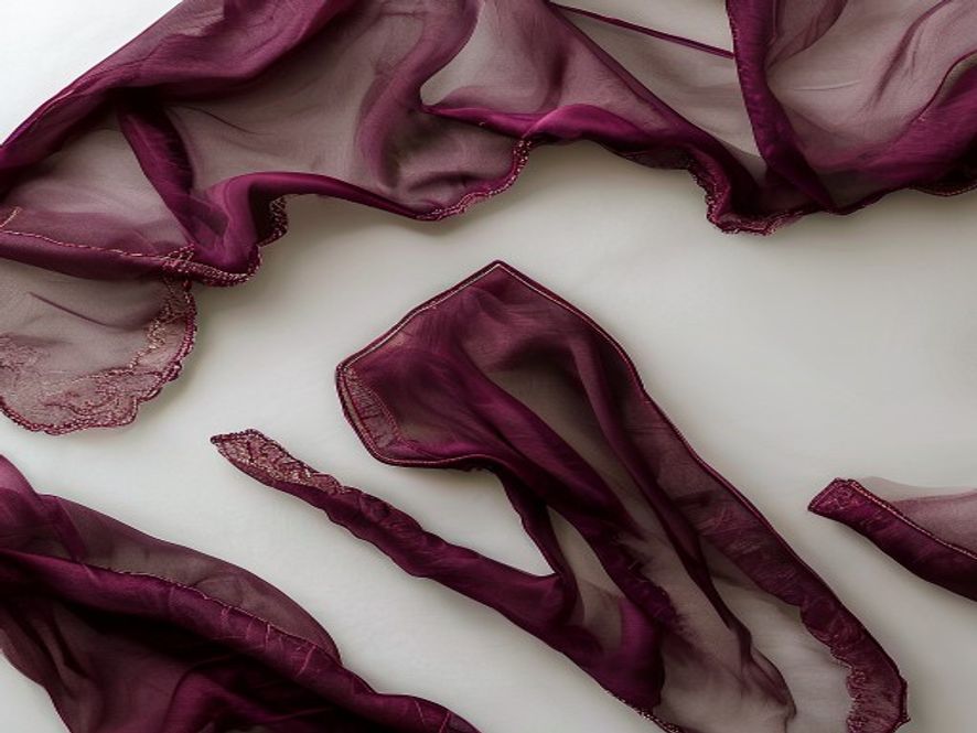 Embroidered Organza
